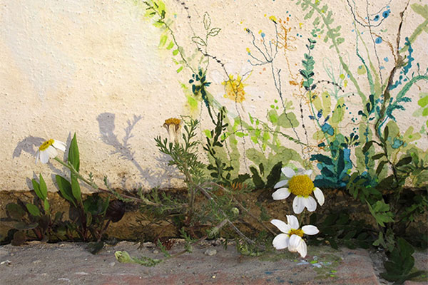 María Ortega Estepa. Jardines en las grietas. San Javier, Murcia
