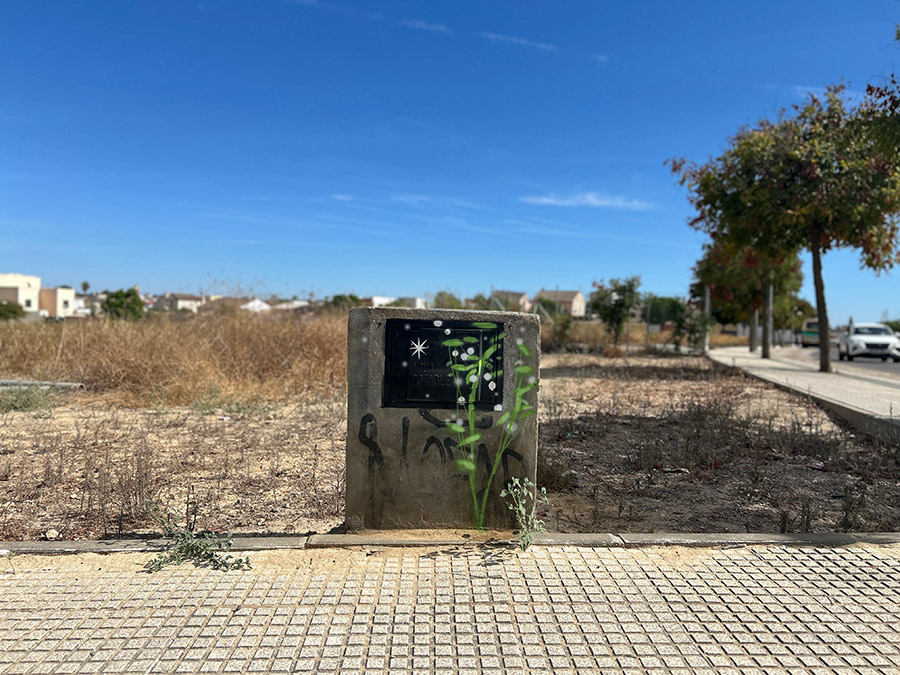 María Ortega Estepa. Cajas de luz